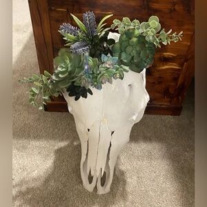 Authentic Custom Cow Skull Rustic White boho succulents